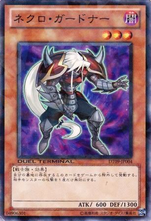 遊戯王ocg カード名の略し方は スターライト速報 遊戯王ocg情報まとめ