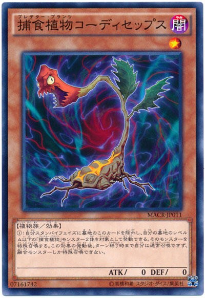 遊戯王OCG】キノコのモンスターを作るとしたら : スターライト