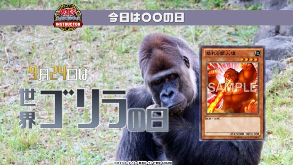 特価 遊戯王OCG】9月24日は世界ゴリラの日！公式が世界ゴリラの日にち シングルカード