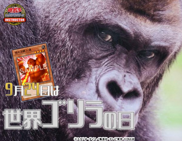 Amazon.co.jp: 遊戯王 SUB1-JPS02 混沌魔龍 カオス・ルーラー