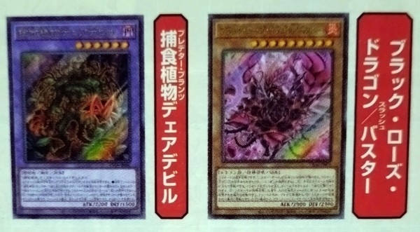 遊戯王OCG】ザ・ヴァリュアブルブックEX6付属『ブラック・ローズ