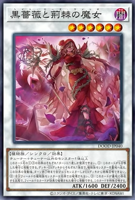 遊戯王　EU版　黒薔薇の破滅竜　スターライトレア 遊戯王OCG情報】ドゥーム・オブ・ディメンションズに『黒薔薇の