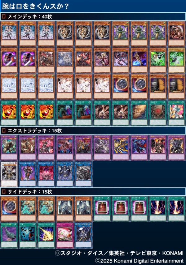 遊戯王　VSK9 日本選手権優勝構築　メイン40枚　エクストラ15枚 遊戯王 VSK9 日本選手権優勝構築 メイン40枚 エクストラ15枚