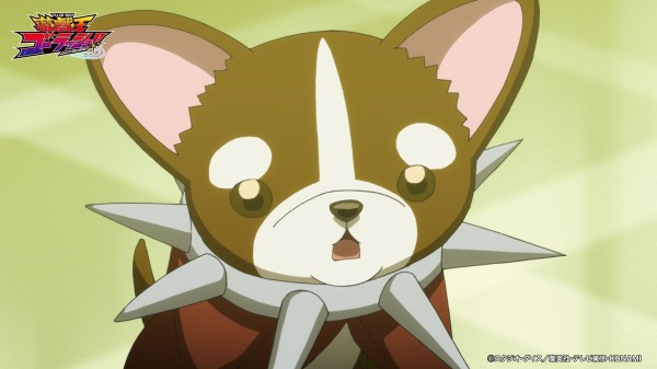 遊戯王ゴーラッシュ ボチ キャラクター紹介 スターライト速報 遊戯王ocg情報まとめ 遊戯王ゴーラッシュ ボチ キャラクター紹介 スターライト速報 遊戯王ocg情報まとめ