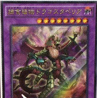 捕食植物ドラゴスタペリア【アルティメットレア】 61jT4eELsQL._AC_UL210_SR210,