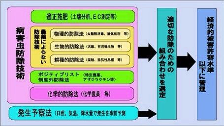 IPM（総合的病害虫管理）の実践 ２ : 持続可能な農業