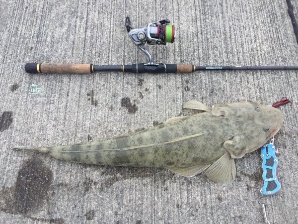 DAIWA ダイワ morethan モアザン 92L・W DAIWA ダイワ morethan モアザン 92L・W - メルカリ