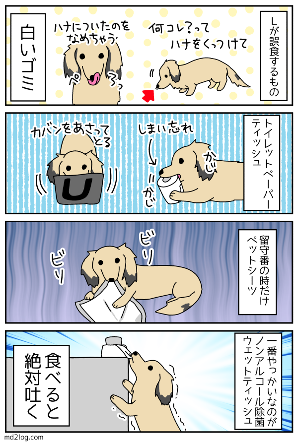 犬の誤食 ミニチュアダックス2ひきのきろく シニア犬漫画日記
