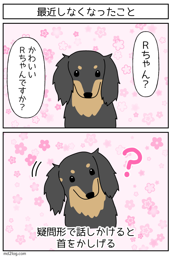 犬のかわいいしぐさ ミニチュアダックス2ひきのきろく シニア犬漫画日記