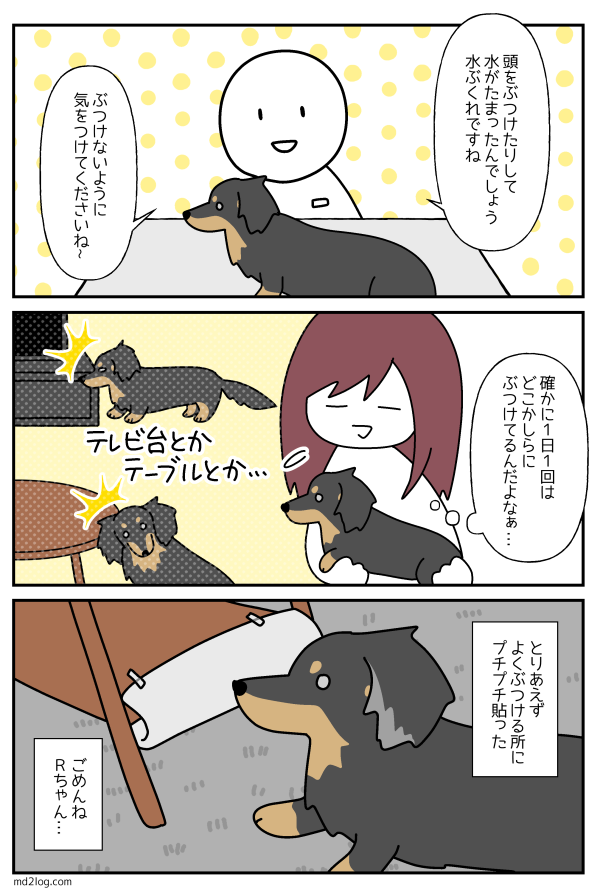 犬の頭のできものの話 ミニチュアダックス2ひきのきろく シニア犬漫画日記