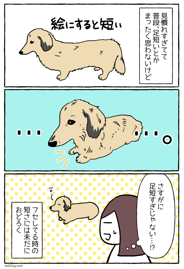 短足 ミニチュアダックス2ひきのきろく シニア犬漫画日記