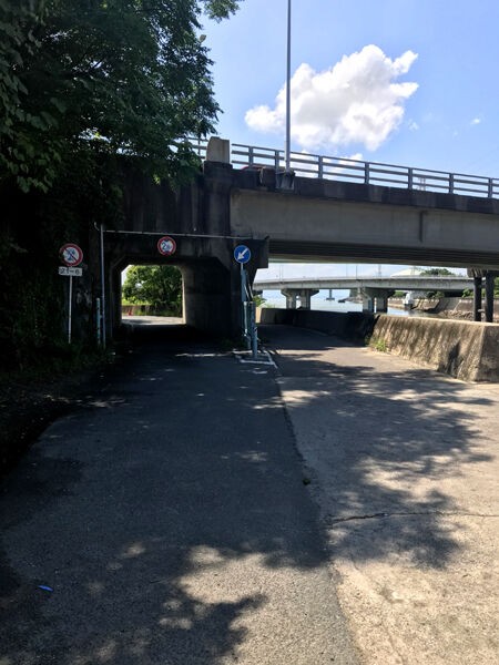 日長川 今夏最初のハゼ釣り 初心者が一から釣りを始める