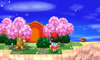 ハルマキがやって来た めだかと森の記録