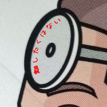 ツッコミが渋滞します めふ動物病院週報