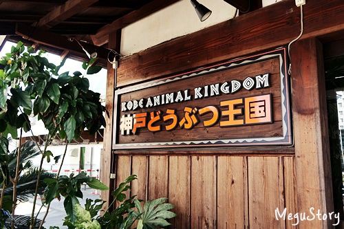 関西の動物園人気ランキング1位 神戸どうぶつ王国 めぐのご飯日記