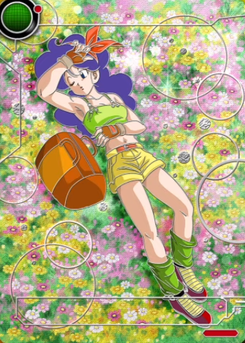 ドラゴンボール超カードゲーム コレクターズセレクションVol.2