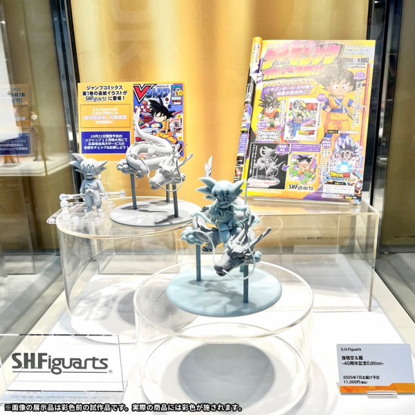 Vジャンプ 2024年12月号 応募者全員サービス『S.H.Figuarts