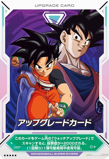 Vジャンプ 2025年1月号 付録・応募者全員サービス『ビクトリー