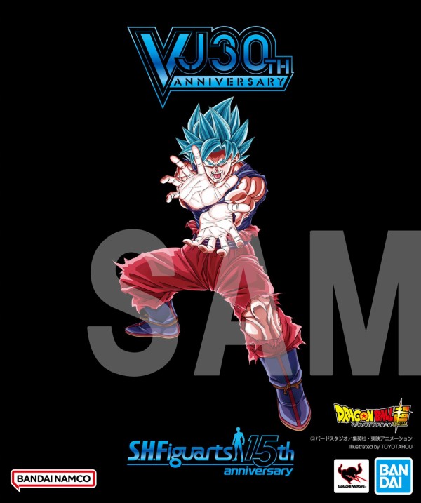 ドラゴンボール　孫悟空 S H Figuarts 応募者全員サービス 孫悟空 ドラゴンボール S H Figuarts 応募者全員サービス 孫悟空 未開封 V