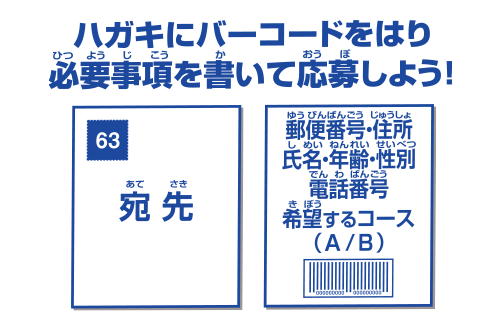 サプライ　遊戯王ラッシュデュエル 特製デュエルフィールド(プレイマット) ルークver. スタートラッシュキャンペーン第2弾 応募コースB 遊戯王ラッシュデュエル スタートラッシュキャンペーン第2弾