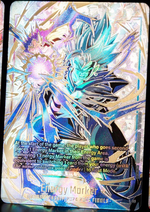 DBFW チャンピオンシップ2024-2025 日本決勝：上位・参加記念品
