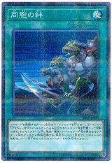 遊戯王 ストラクチャーデッキr 神光の波動 初動 買取相場まとめ 同胞の絆 再録された価格は 遊戯王 ドラゴンボール通販予約情報局