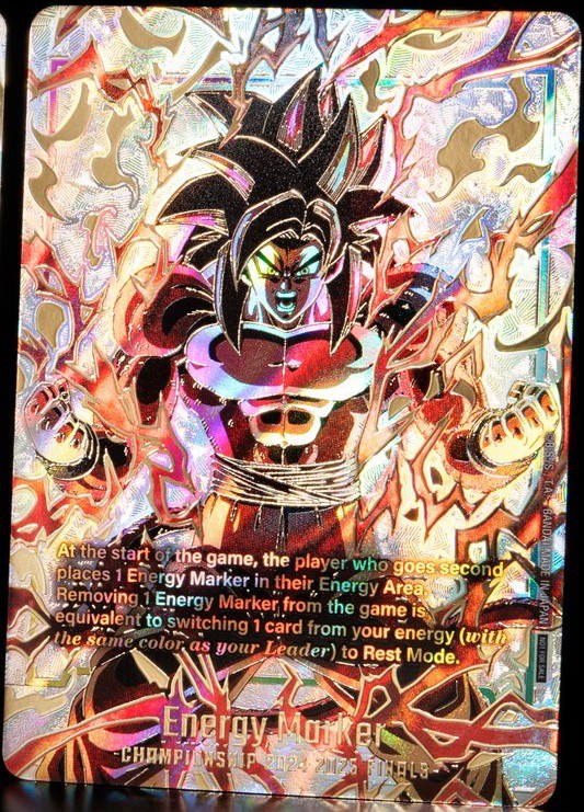 DBFW チャンピオンシップ2024-2025 日本決勝：上位・参加記念品