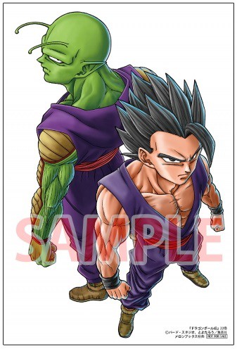 【代引可】 漫画 ドラゴンボール超 22巻をメロンブックスで購入すると 少年漫画