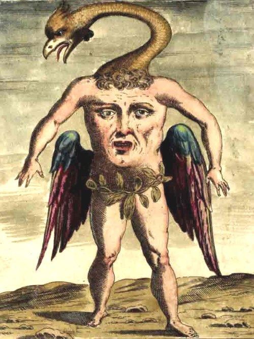 怪物のオンパレード ルネサンス期の学者の著書に出てくるモンスターの挿絵11選 メメント モリ 西洋美術の謎と闇