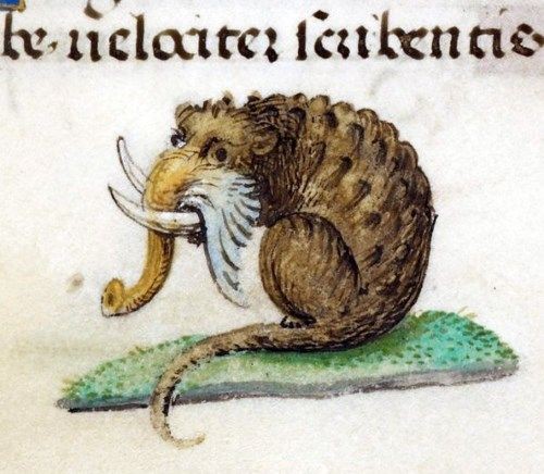 中世写本に描かれたキモかわいい怪物12点 とぼけた顔の奇妙なモンスターたち メメント モリ 西洋美術の謎と闇