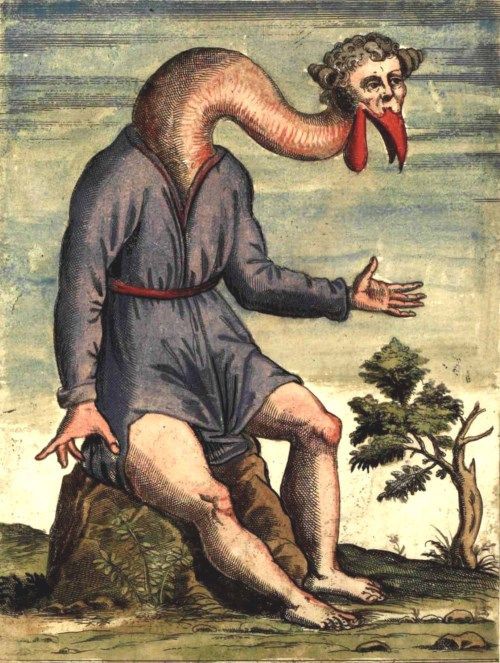 怪物のオンパレード ルネサンス期の学者の著書に出てくるモンスターの挿絵11選 メメント モリ 西洋美術の謎と闇