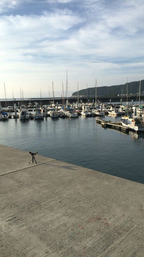淡路島 洲本 炬口漁港でアジング 裏京都探偵団