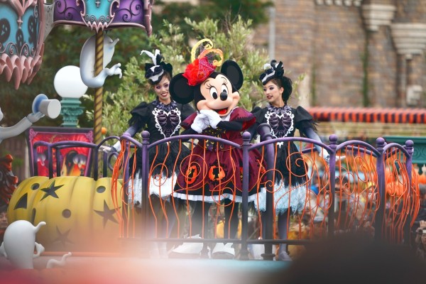 なぜこんなに品切れるのか Rabbit In Dawn