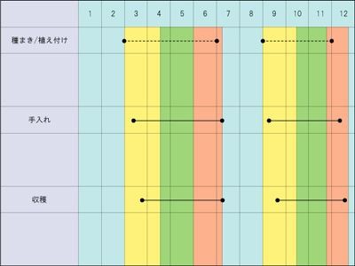 簡単 二十日大根の育て方 ノア