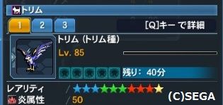 現時点でサモナーやペットに関して不満なところ だらだらpso2