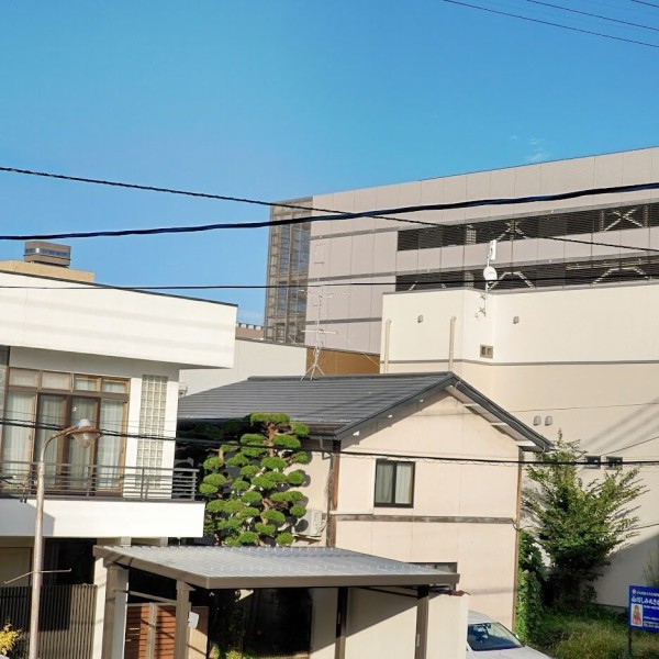 正しいお買い物 店長の犬猫な日々 山形ペットショップ 店長 ブログ