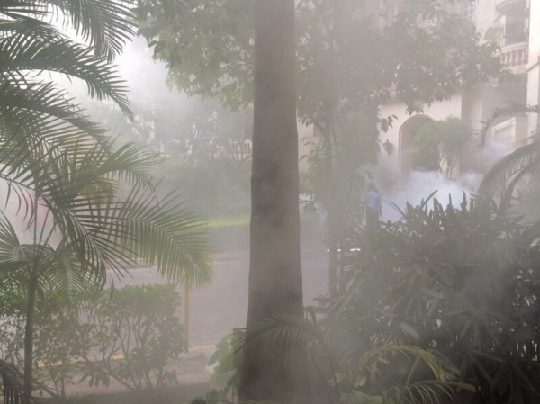 インドでも青のニベア 便利タイプ インドへ行こう