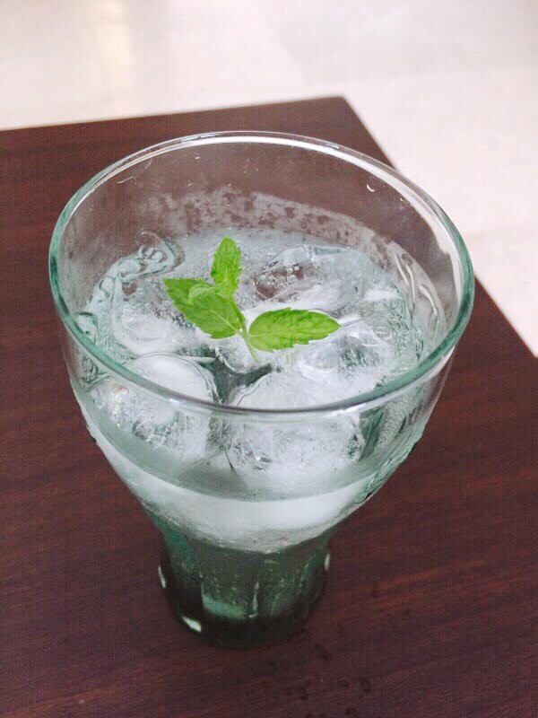 ミント消費術 フレッシュミントソーダを作る インドへ行こう ミント消費術 フレッシュミントソーダを作る インドへ行こう