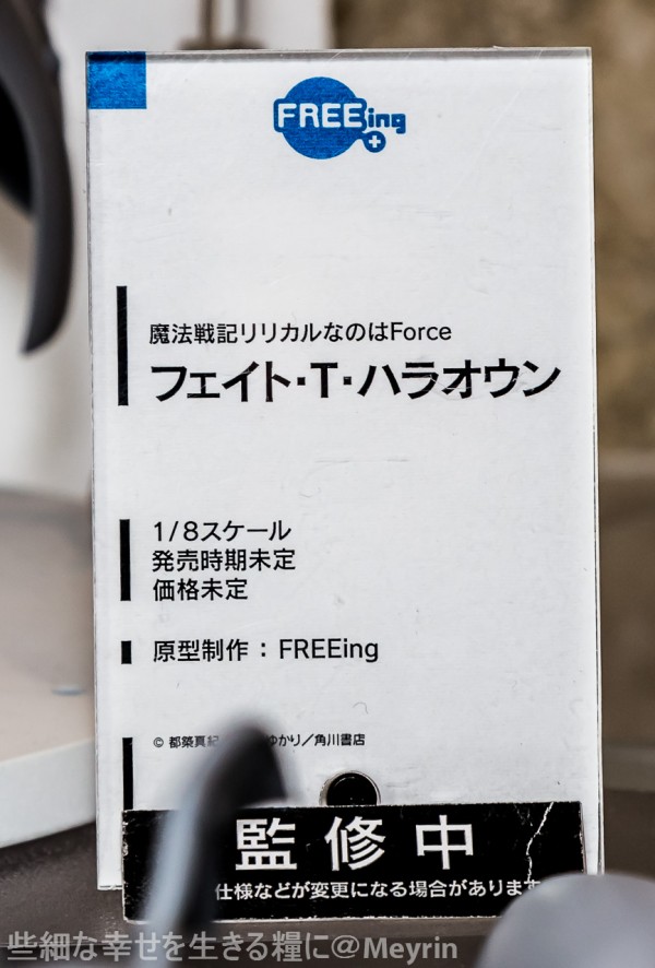 ワンダーフェスティバル ワンフェス 15冬 当ブログ内検索用まとめ 撮影後記 些細な幸せを生きる糧に