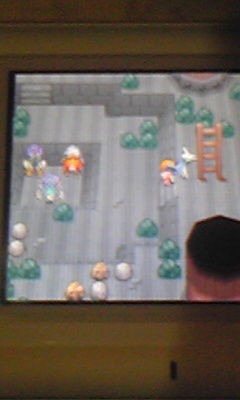 ライコウ厳選日記 積みゲーとかポケモンとか