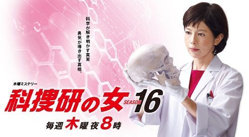 科捜研の女 シーズン16 6話 ネタバレ感想 和傘職人刺殺事件 咲かない神室菊 探偵モノ語り