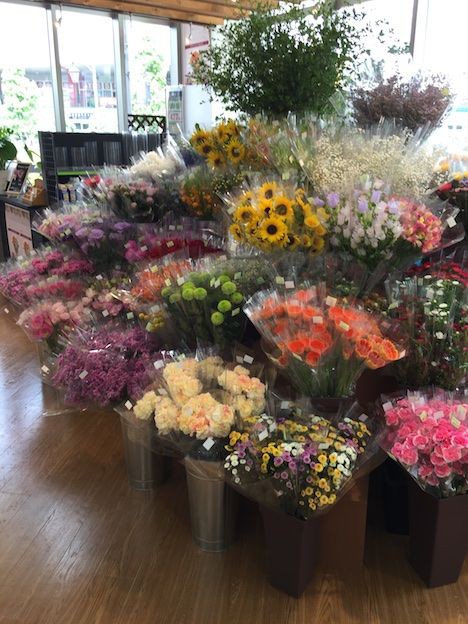 ロイヤルホームセンター南千住プレオープン 南千住あたり