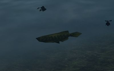 Mh4 古代魚ってどこて手にはいるんですか モンハンまとめニュース