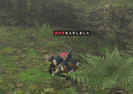 Mh4 ストーリークリア時点で作れる採取 2 精霊のきまぐれ 高速収集装備の一例 Mhx超速報 モンスターハンタークロス攻略まとめ