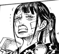 ワンピース カン十郎が生きていた これ 感想 1008話 あにこぱす