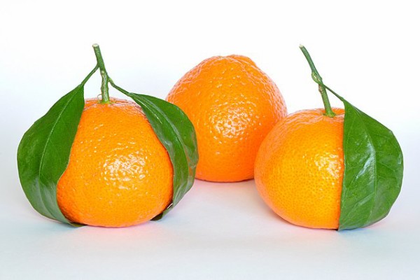 640px-Mandarin_Oranges_(Citrus_Reticulata)