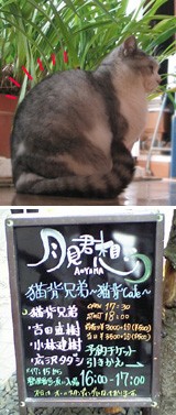 猫背兄弟live 05 猫背cafe In 東京 みち草日和