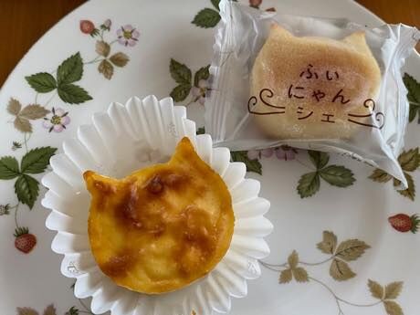 ふぃにゃんしぇ みーこのキヅ便り ふぃにゃんしぇ みーこのキヅ便り