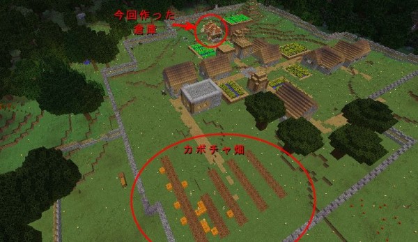 作者近影 何は無くともカボチャだべ 17 09 07 マイクライズム