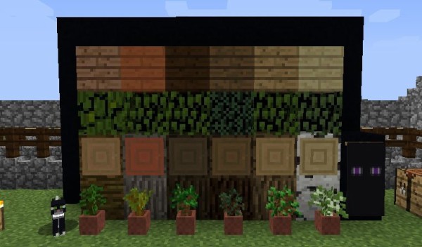 知ってる 小技裏技豆知識 木の種類と違い 松は松じゃない 盆栽 マイクライズム